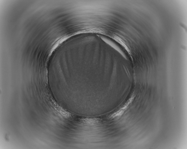 X0000095900781200802081139