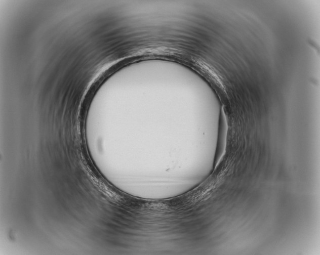 X0000095900784200802081139