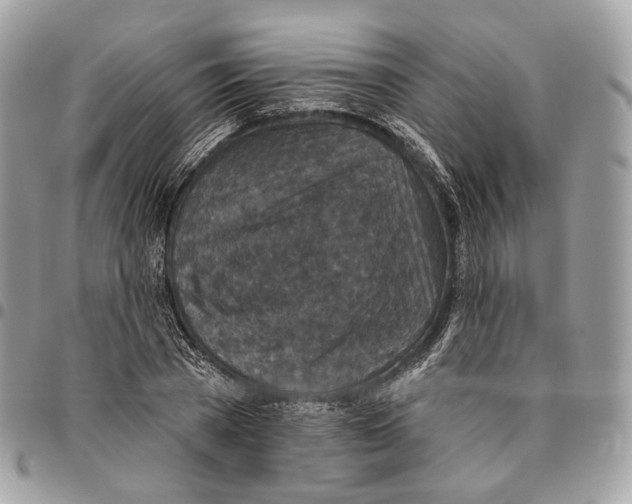 X0000095900785200802081139