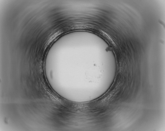 X0000095900786200802081139