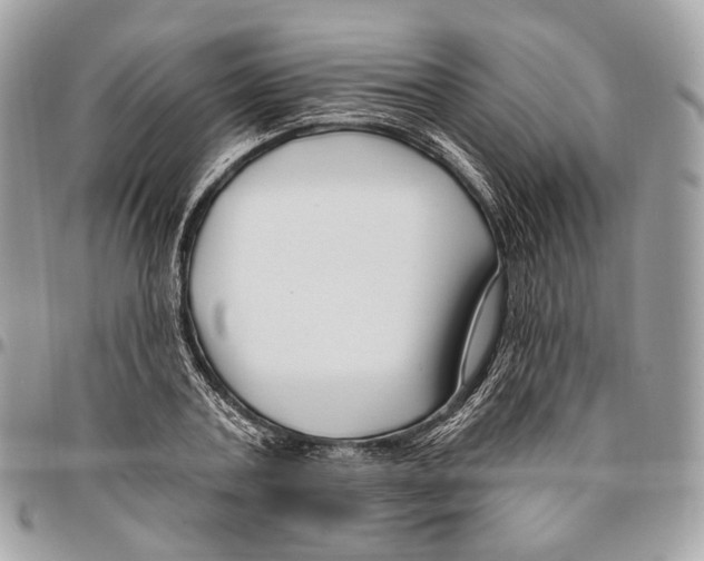 X0000095900787200802081139