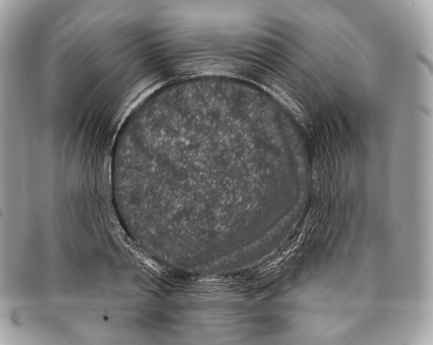 X0000095900790200802081139