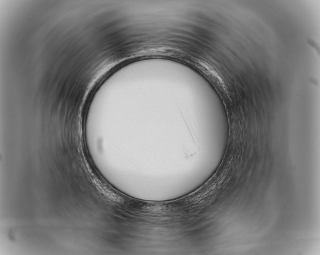 X0000095900792200802081139