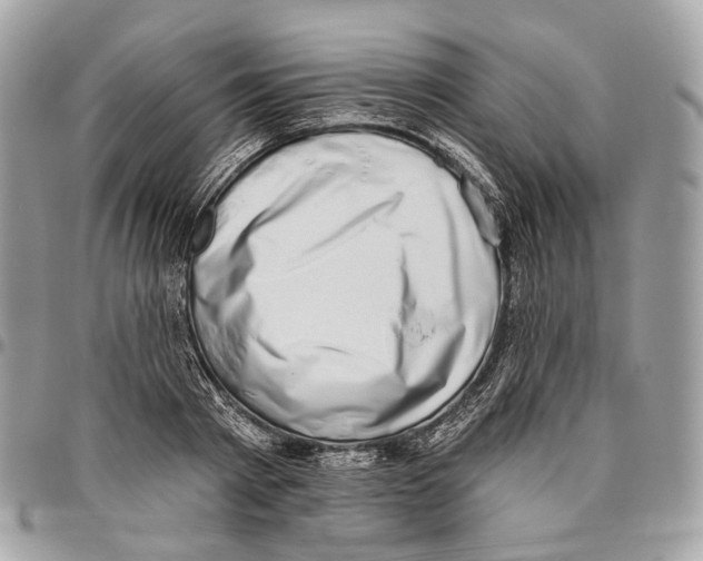 X0000095900793200802081139