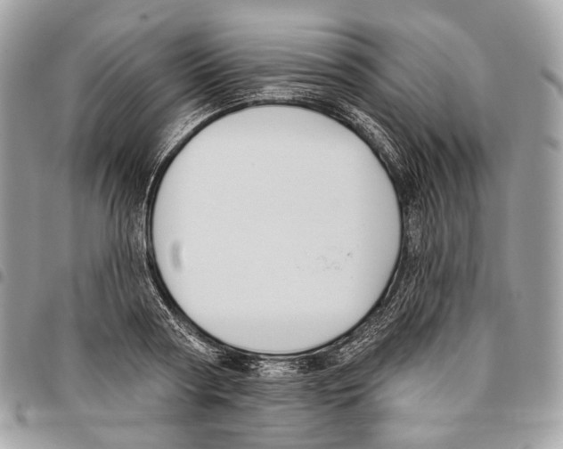 X0000095900794200802081139