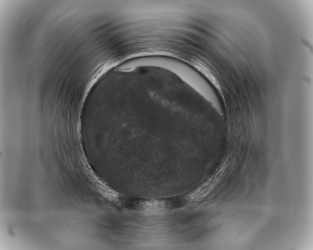 X0000095900797200802081139