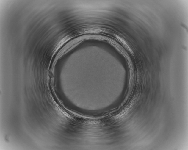 X0000095900802200802081139