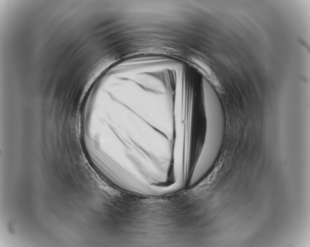 X0000095900804200802081139