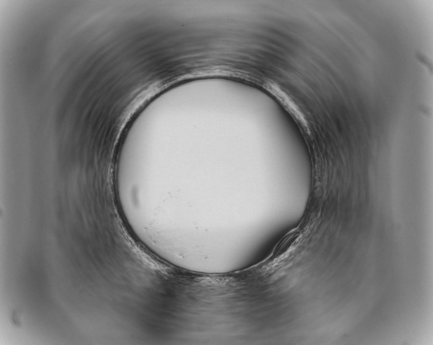 X0000095900805200802081139