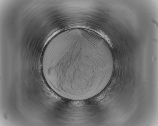 X0000095900806200802081139