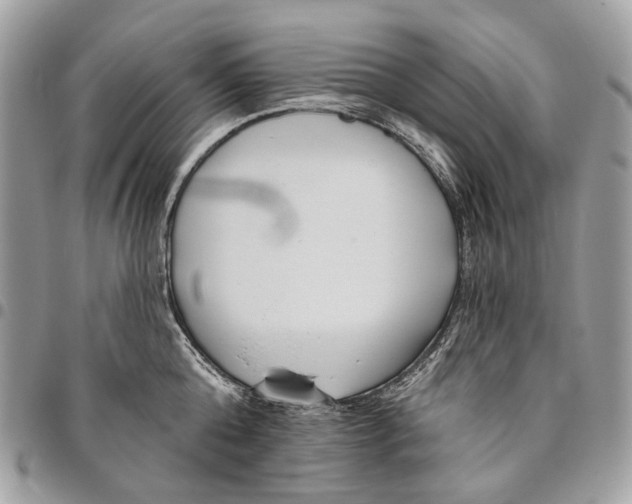 X0000095900808200802081139