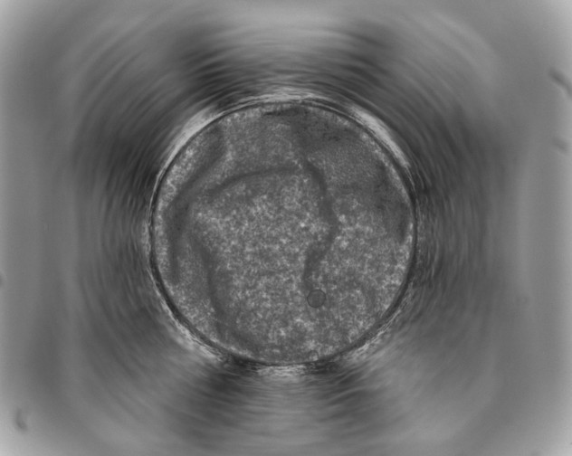 X0000095900810200802081139