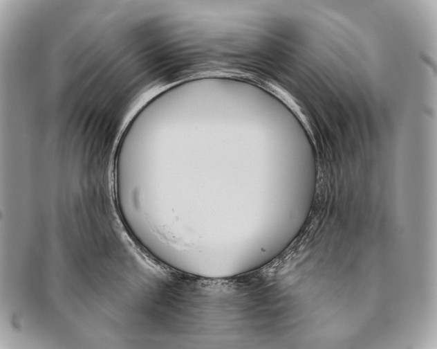 X0000095900811200802081139