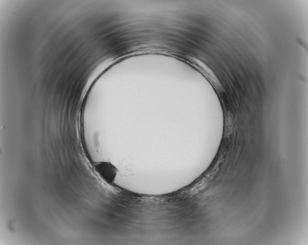 X0000095900812200802081139