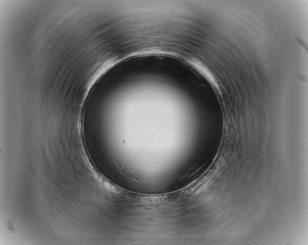 X0000095900813200802081139