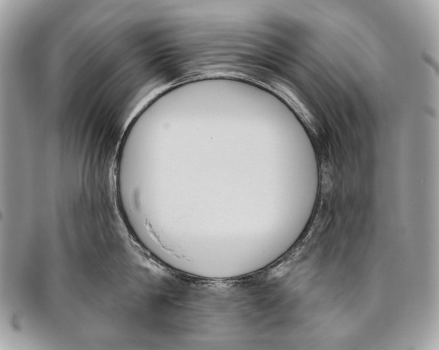 X0000095900814200802081139