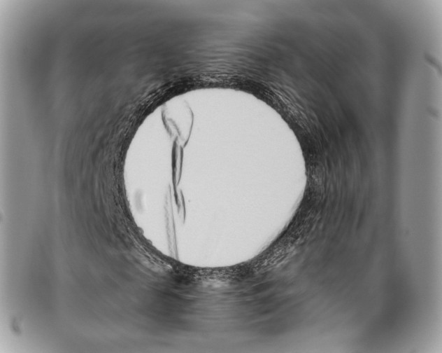 X0000095900817200802081138