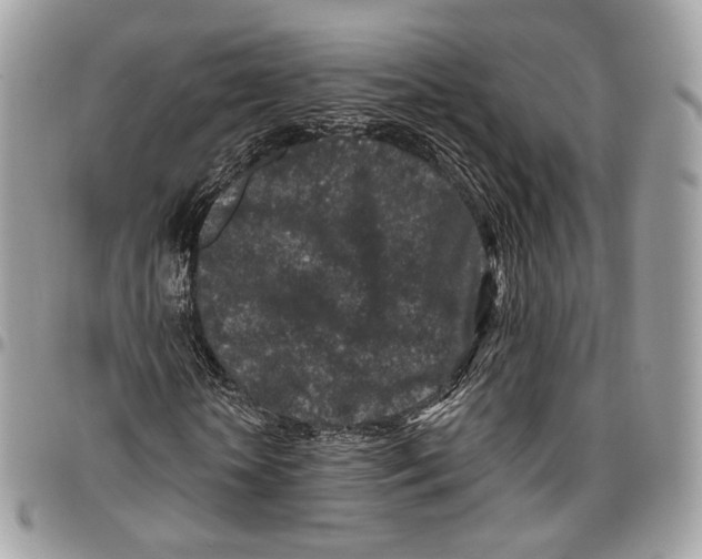 X0000095900818200802081138