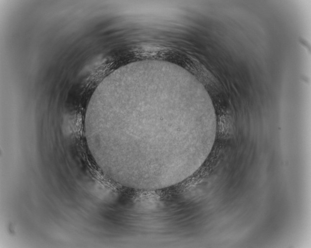 X0000095900820200802081138