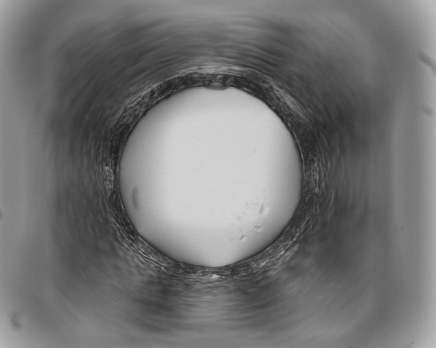 X0000095900821200802081138