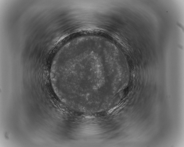 X0000095900822200802081138