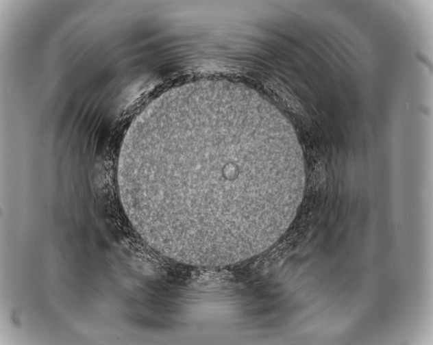 X0000095900824200802081138