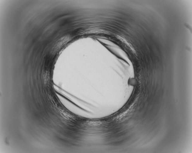 X0000095900825200802081138