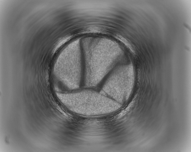 X0000095900826200802081138