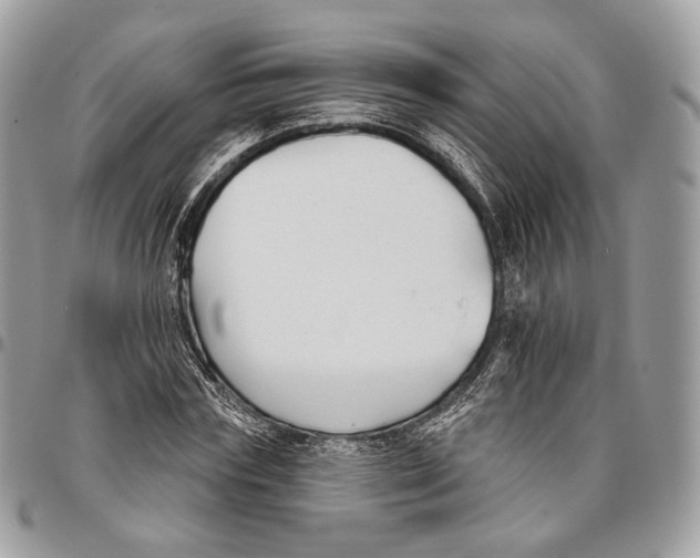 X0000095900827200802081138