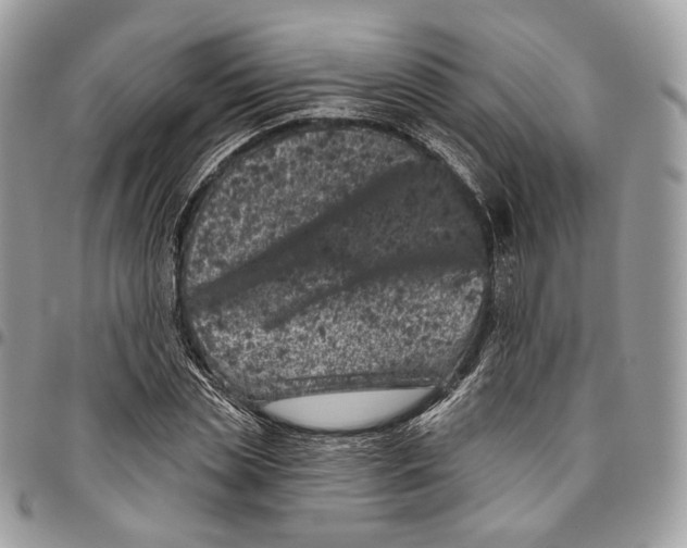 X0000095900829200802081138