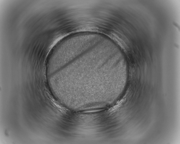 X0000095900830200802081138