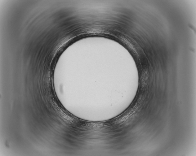 X0000095900831200802081138