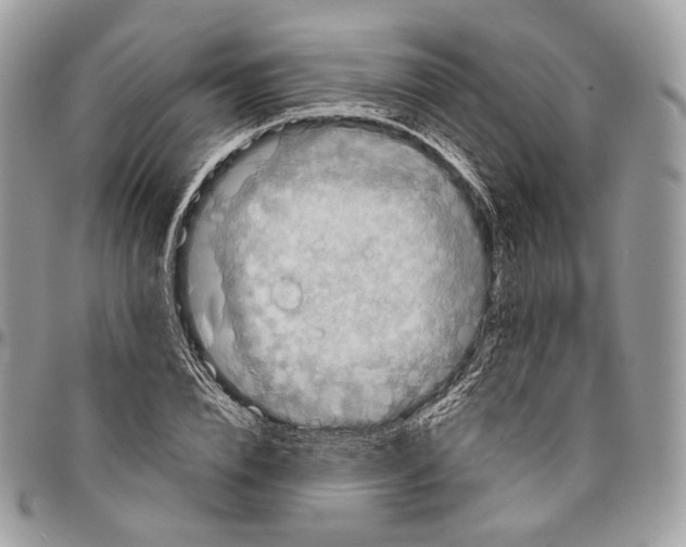 X0000095900832200802081138