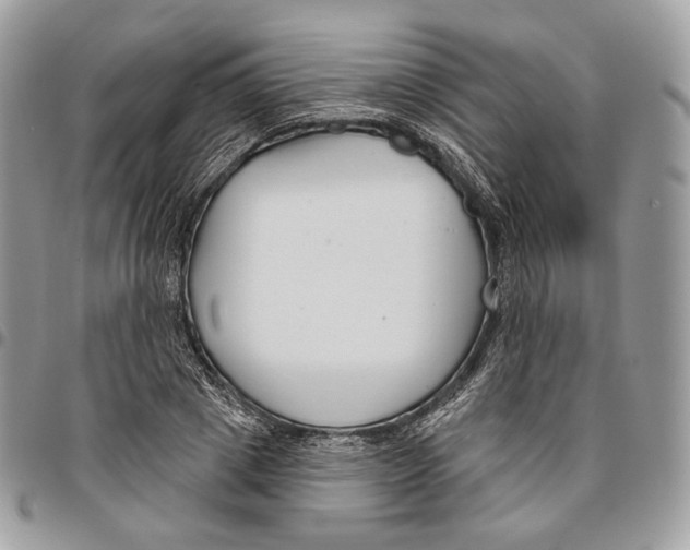 X0000095900833200802081138