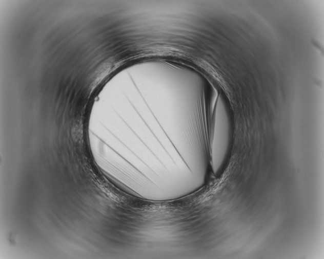 X0000095900834200802081138