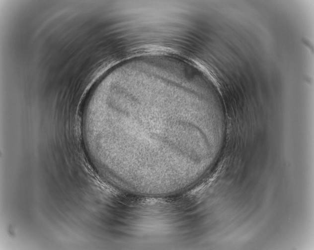 X0000095900835200802081138