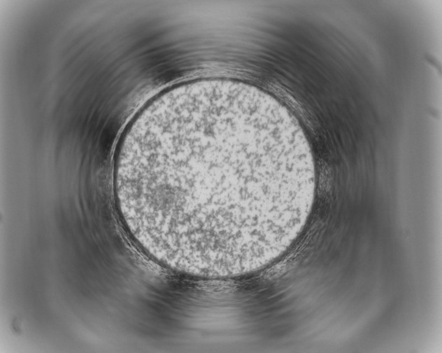 X0000095900836200802081138