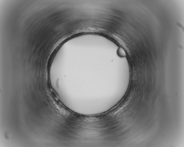 X0000095900837200802081138