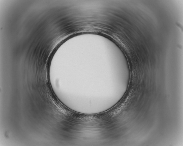 X0000095900838200802081138