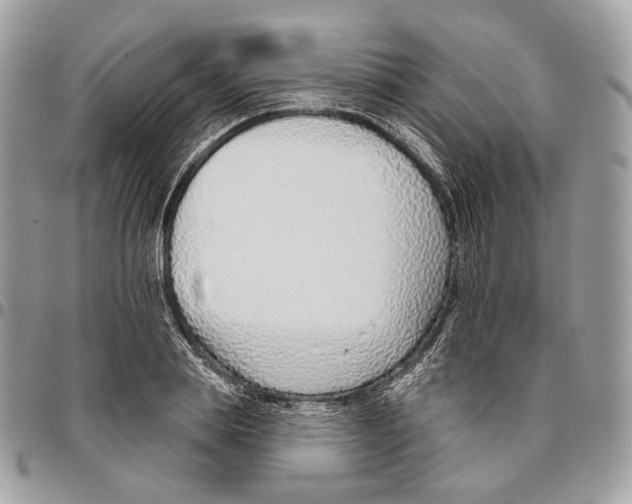 X0000095900839200802081138