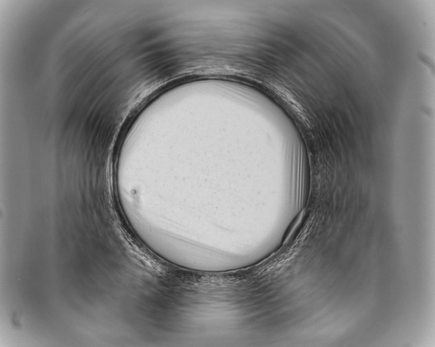 X0000095900840200802081138