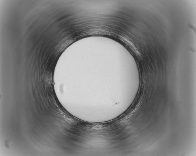 X0000095900841200802081138