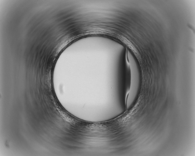 X0000095900842200802081138