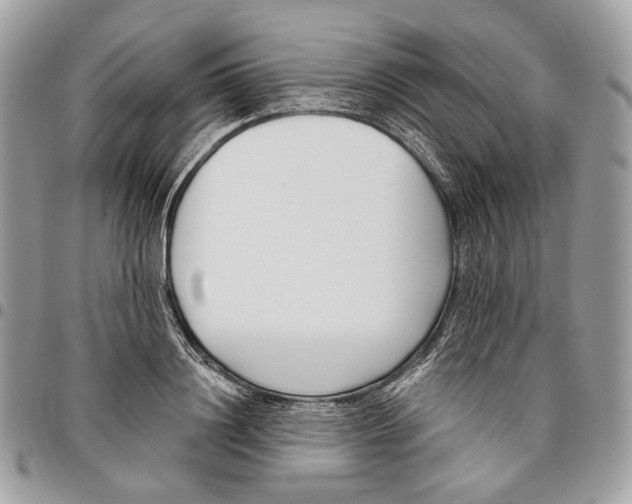 X0000095900844200802081138