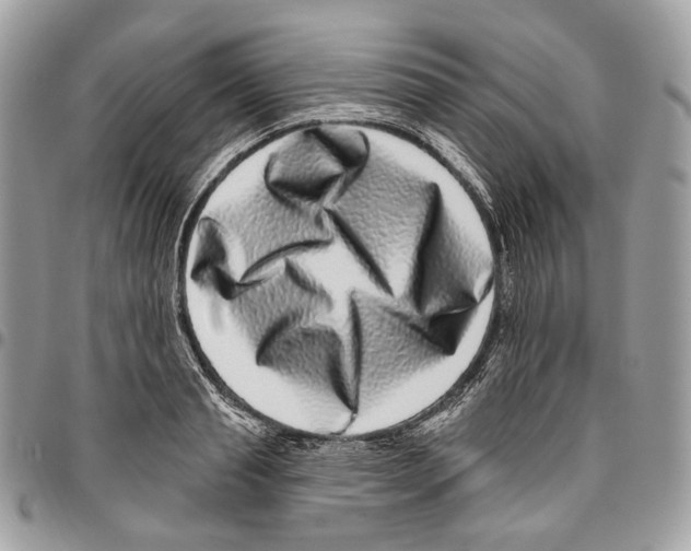 X0000095900845200802081138