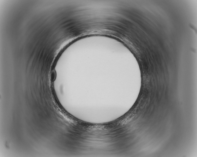 X0000095900846200802081138