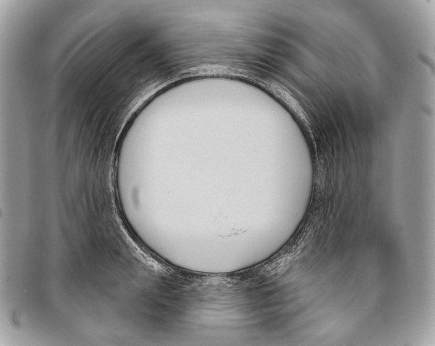 X0000095900847200802081138