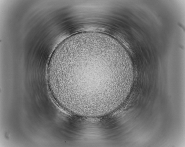 X0000095900848200802081138