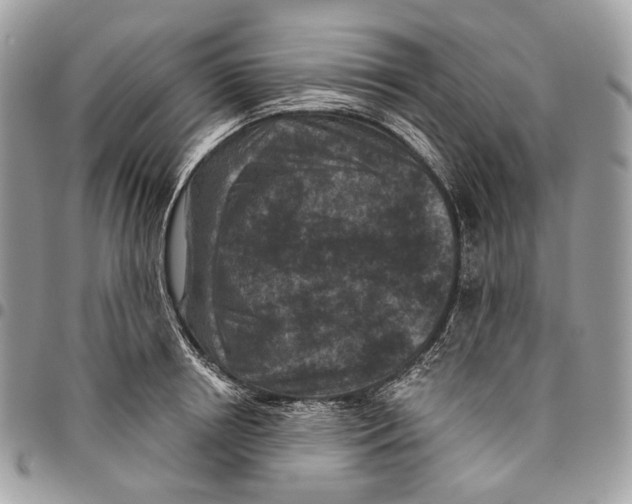 X0000095900850200802081138