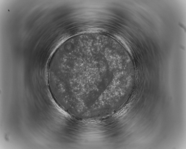 X0000095900851200802081138